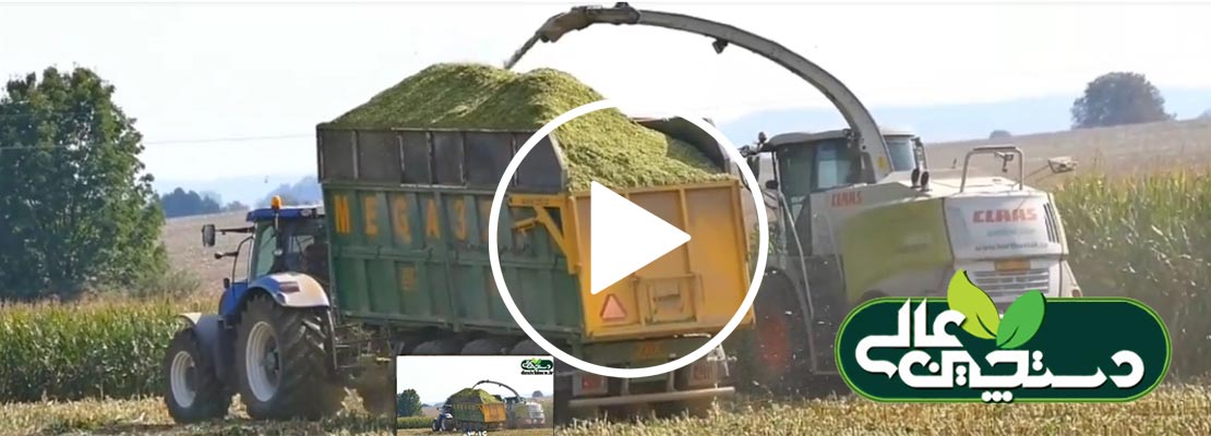 عمل آوری سیلاژ ذرت