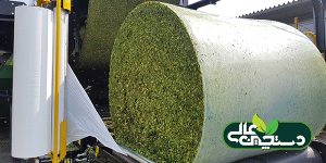 انتخاب افزودنی بهبود دهنده تخمیر علوفه سیلو شده