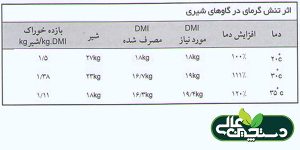 تأثیر تنش گرمایی بر گاوها